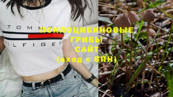 MDMA Premium VHQ Армянск
