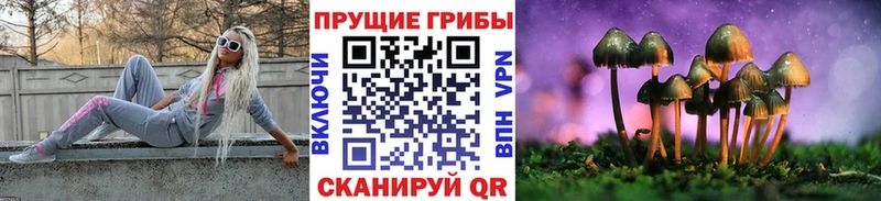 Галлюциногенные грибы Psilocybine cubensis  Шатура 