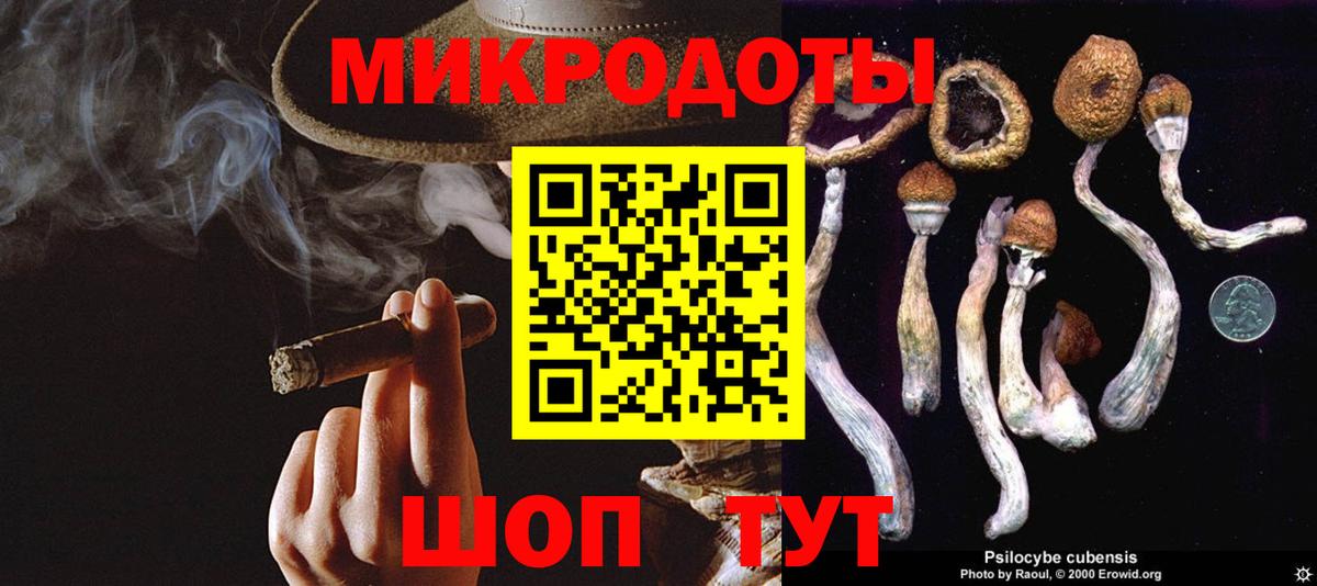 Шатура  Галлюциногенные грибы Magic Shrooms  Вход с VPN  Псилоцибиновые грибы GOLDEN TEACHER 